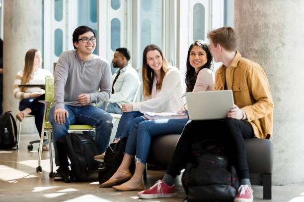 professional article writing service