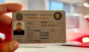 4 License Fee Checks Before You Pay in Dubai