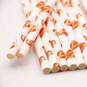 Using Custom Paper Straws At Your Next Event