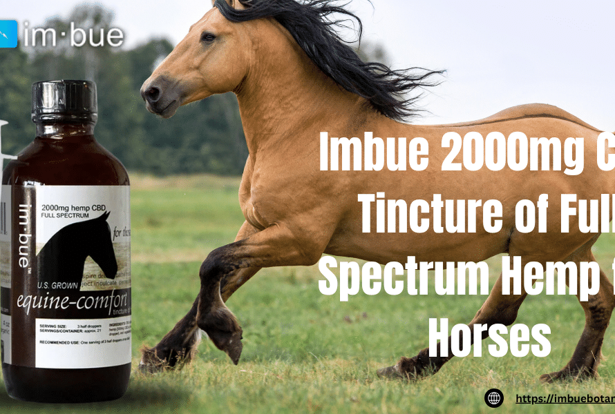 2000mg CBD Tincture for Horses