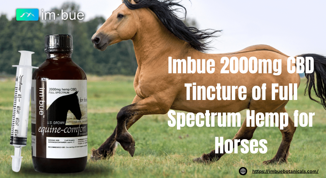 2000mg CBD Tincture for Horses