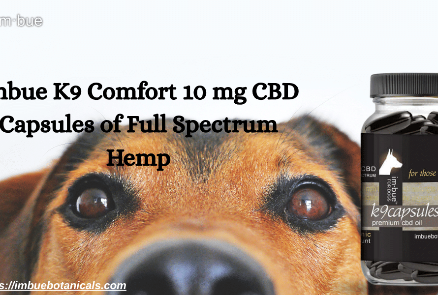 K9 CBD Supplement