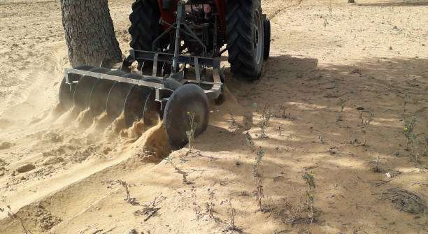 Discing Services for Better Soil Preparation and Land Care